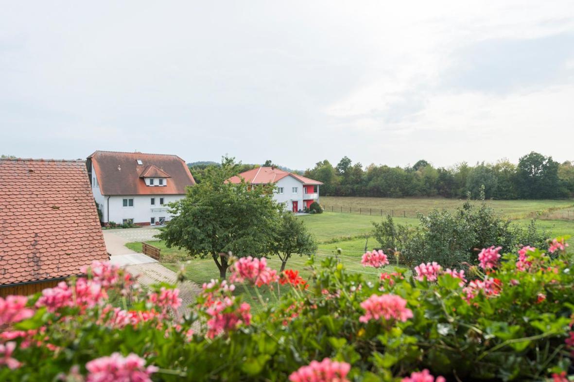 Gasthaus-Pension Hofmann Oberdachstetten Exteriör bild